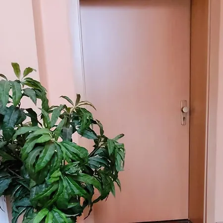 Privileg - Newtime